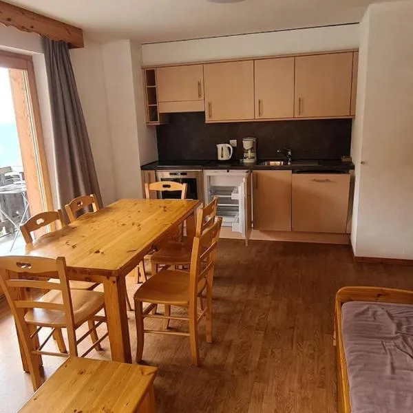 Appartement 3.5 Nendaz, hotel v destinaci Nendaz