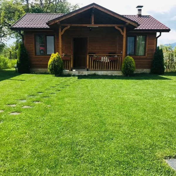 Къщи за гости Михайлови, hotel in Sapareva Banya