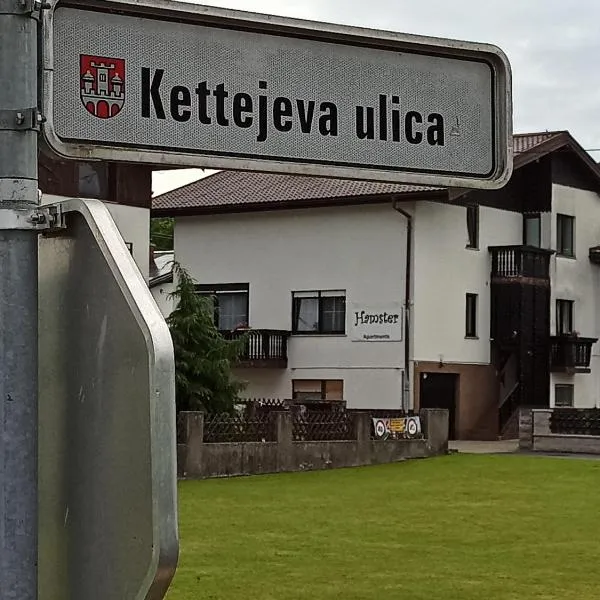 Family apartments "Hamster" up to 7 persons, hotel v destinaci Zgornja Polskava