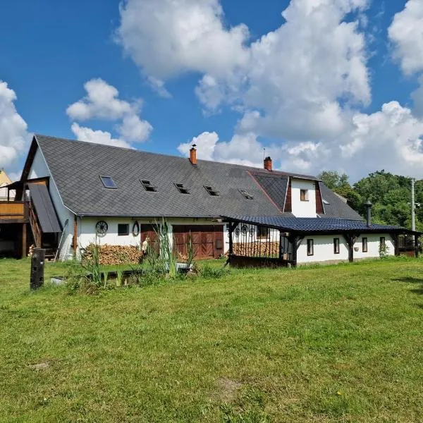 Přemyslovský dvůr, hotel in Bartultovice