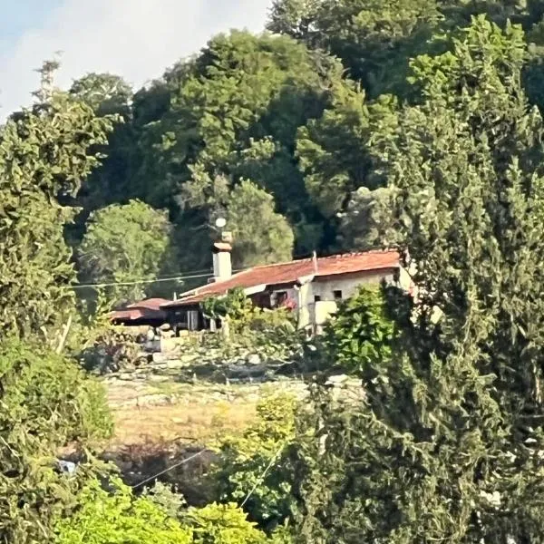 Despina country retreat, hotel in Panayia