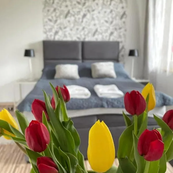 Villa Marzenie Pokój 2 osobowy, hotel v destinaci Wdzydze Kiszewskie