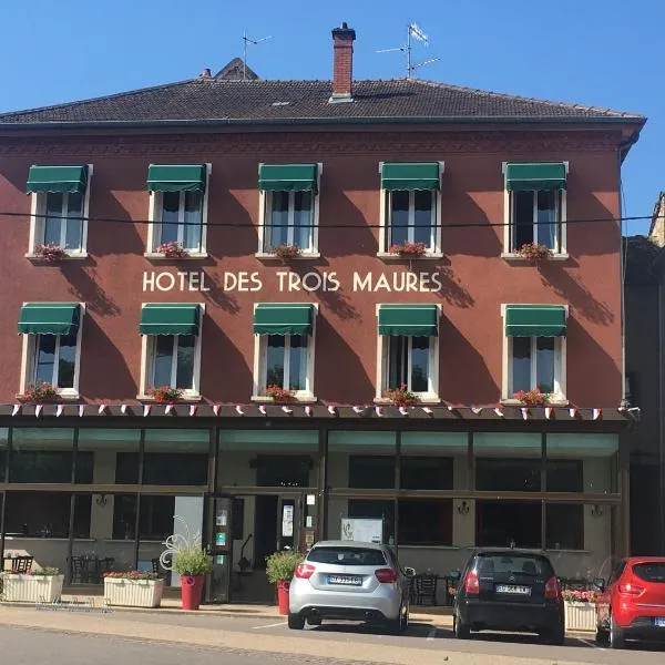 Hôtel Les trois maures, hotel in Saint-Martin-en-Bresse