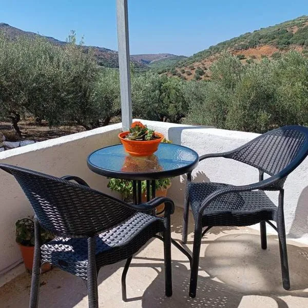 Olive metohi return to nature, ξενοδοχείο σε Azokéramos