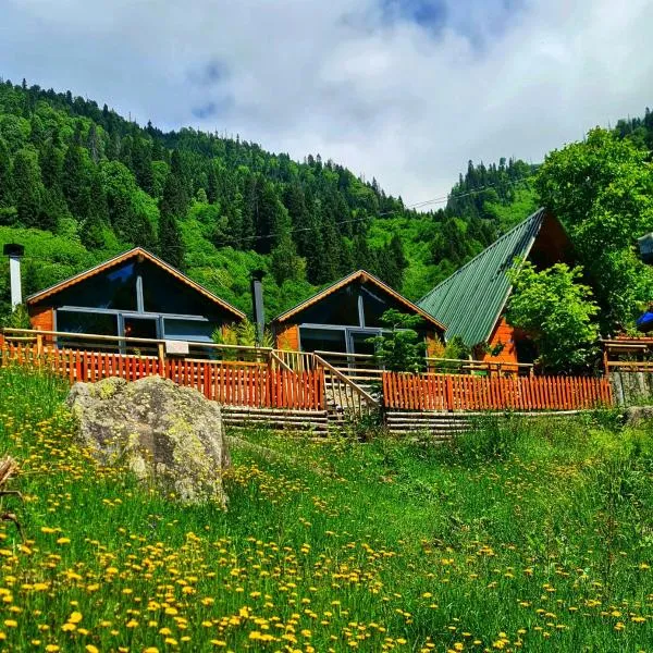 Yayla Bungalov, khách sạn ở Ayder Yaylasi
