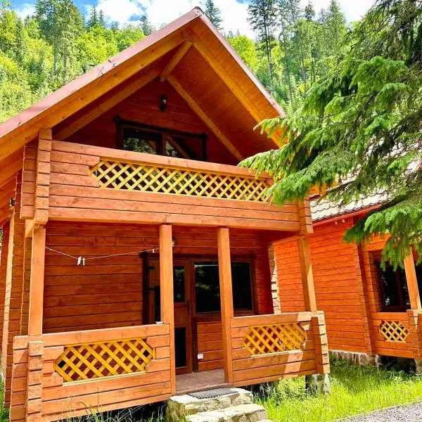 Під озером Синевир, khách sạn ở Synevyrsʼka Polyana