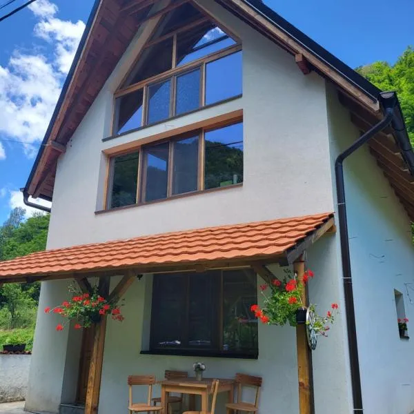 Antić apartmani Stara planina, hotel v destinaci Crni Vrh