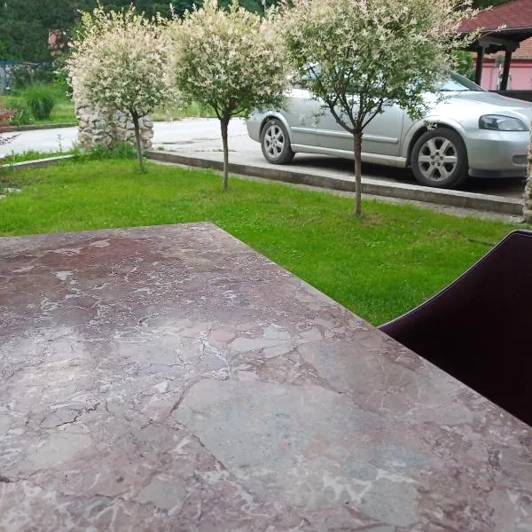Vila Nenad Ovčar banja, hotel v destinaci Čačak