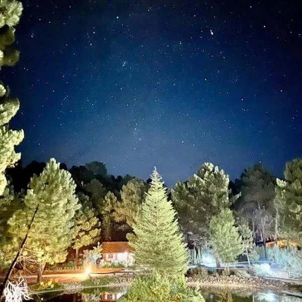 La cabaña del lago en ZAFIRO LAGUNAZO Parque Natural del Río Mundo, hotel in Villaverde de Guadalimar