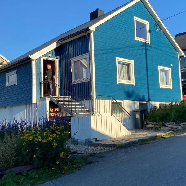 Blue House II at the end of the World, hotel in Mehamn
