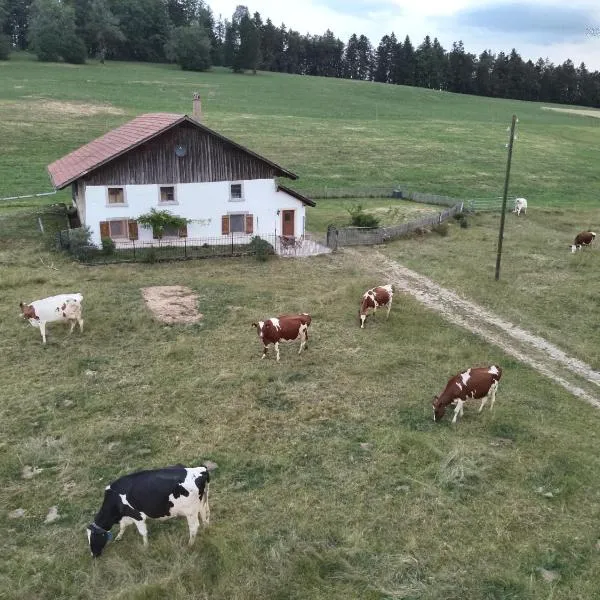 la ferme de la gaby, hotel v destinaci Le Noirmont