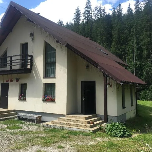 Guest house Alyaska, hotel in Bukovel