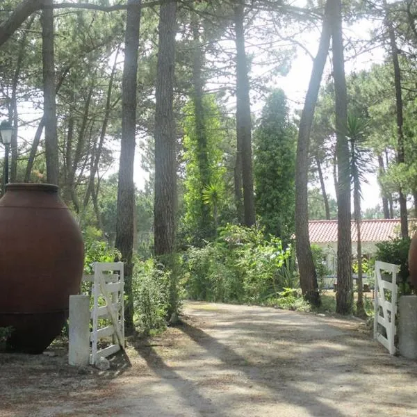 Casa do Páteo, hotel in Aldeia do Meco