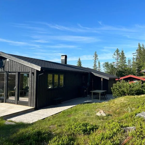 Vegglihytta - cabin with a tranquil location, hotel in Veggli