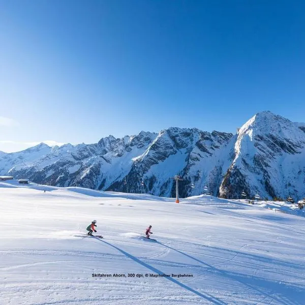 Chalet in Ramsau near Horbergbahn Ski Lift, hotel in Hippach