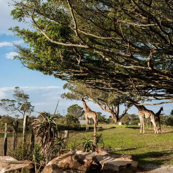 Kragga Kamma Game Park, hotel v destinaci Port Elizabeth
