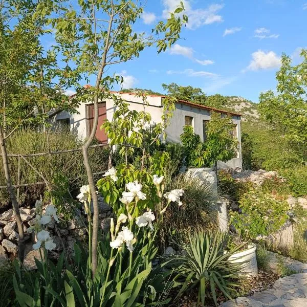 Robinson Haus PanoramA, hotel v destinácii Zagvozd