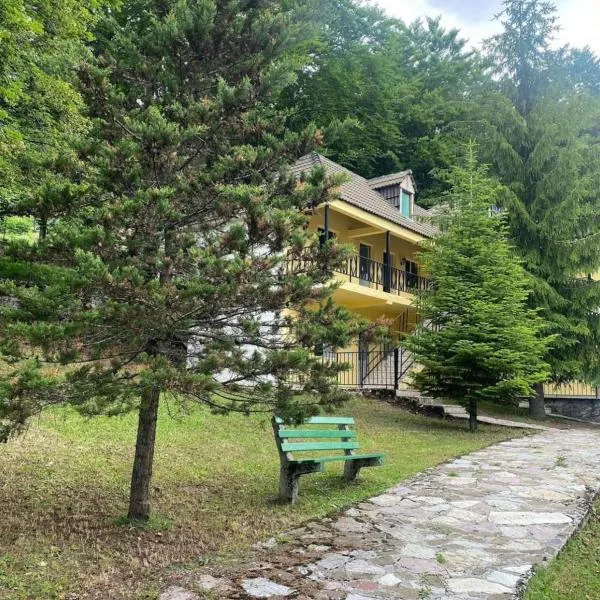 Bujtina Te Grima, hotel in Bogë