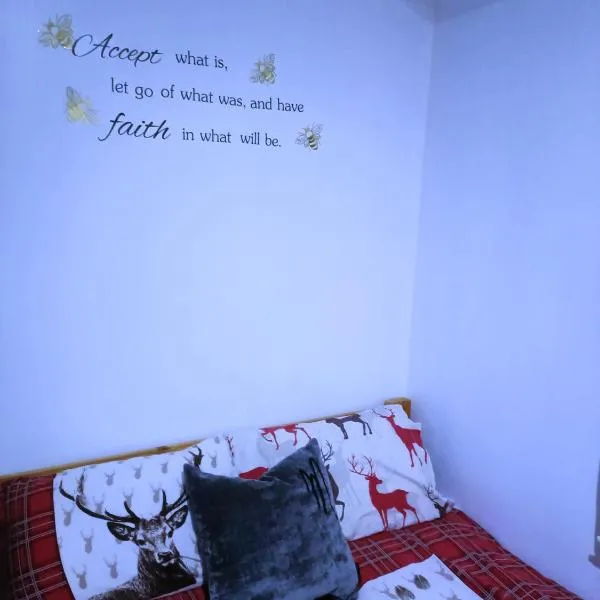 Homestay BedSpace, hotel v Birminghamu