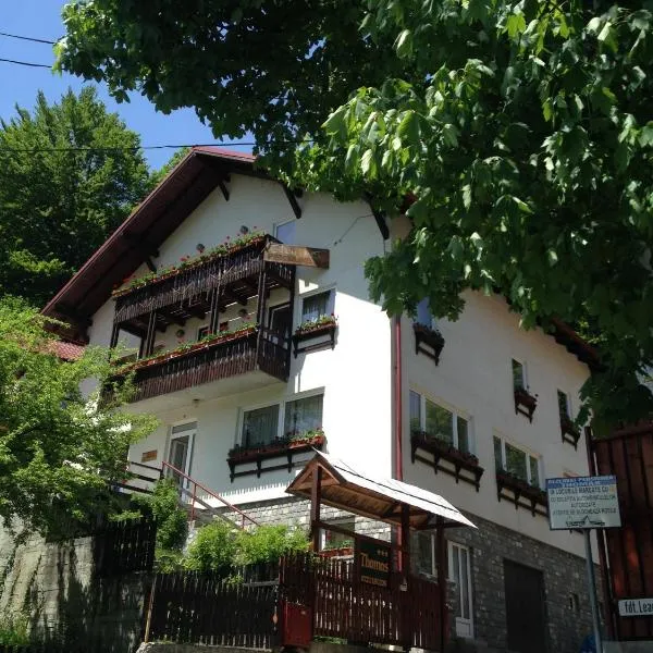 Vila Thomas, hotel in Sinaia
