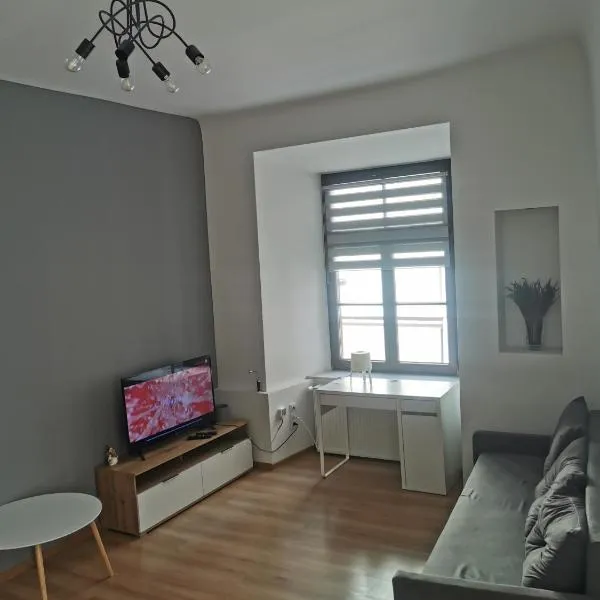 Town Square Apartment，位于卢布林的酒店