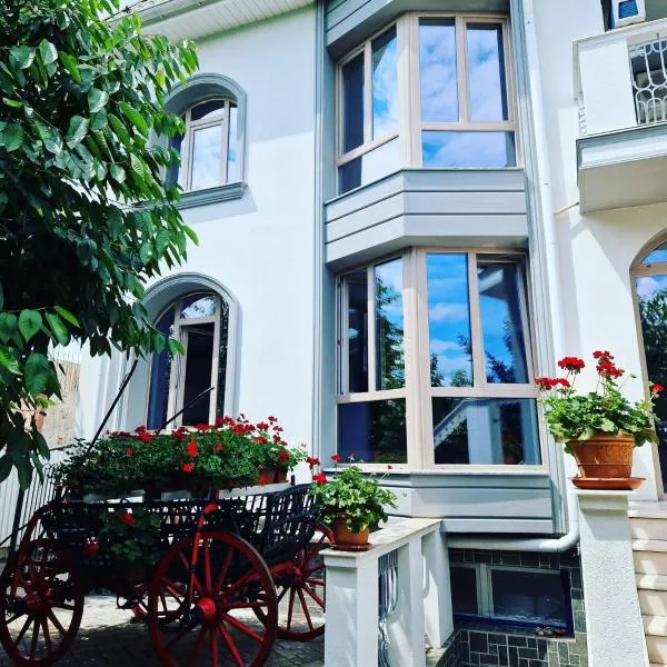 Atlantic Boutique, hotel en Târgu Mureș