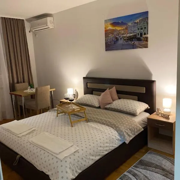 Apartman NS Dan CENTAR, hotel en Novi Sad