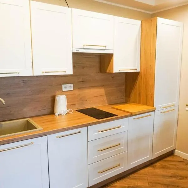 ŁAJBA KAPITANA WYPOCZYNKOWA ROWY, hotell i Rowy