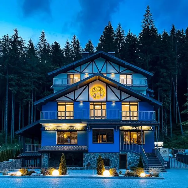 Blueberryhouse, hotel in Bukovel