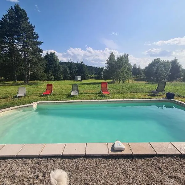 Cosy Room, hotel in Saint-Romain-Lachalm