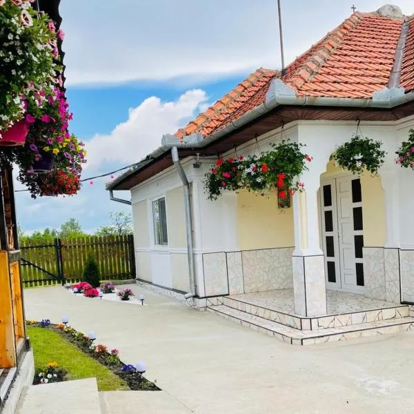 Casa Maria Platoul Luncanilor, hotel en Boşorod