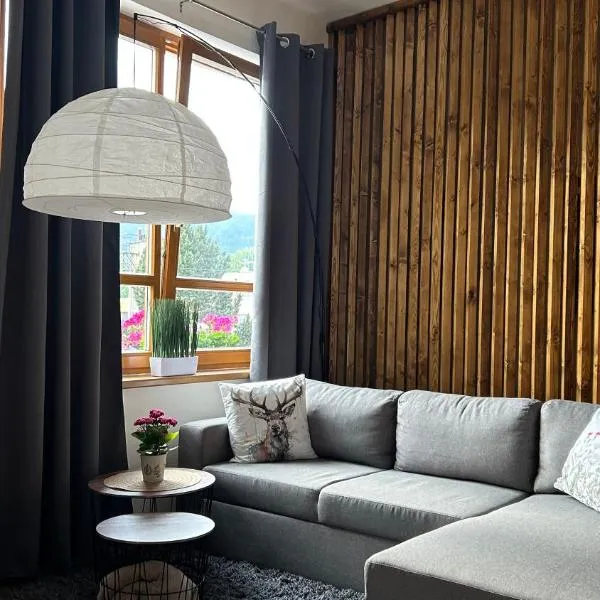 Apartmán Smrk, hotel v destinaci Vrbno pod Pradědem