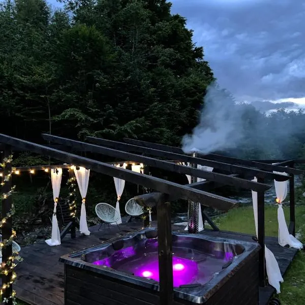 Pensiunea Flora, hotel in Cîrţişoara