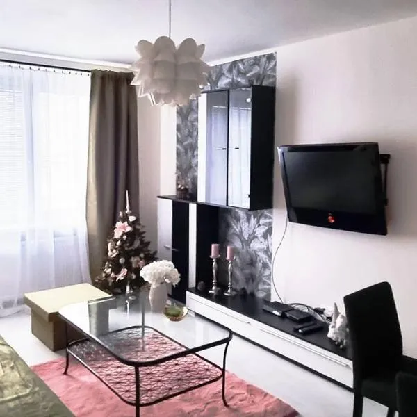 Apartmán v centre mesta Žilina, hotel in Žilina