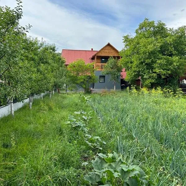 Vila Boema, hotel din Vișeu de Jos