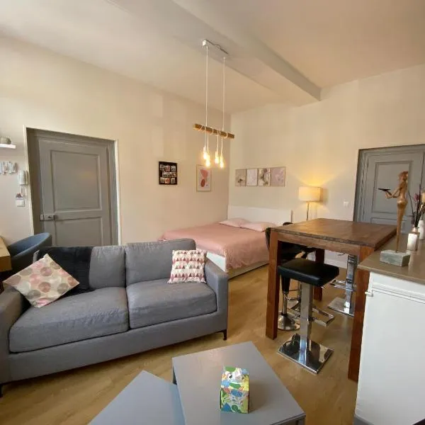 Studio Papillon en plein cœur de ville, hotel v destinaci Saint-Omer