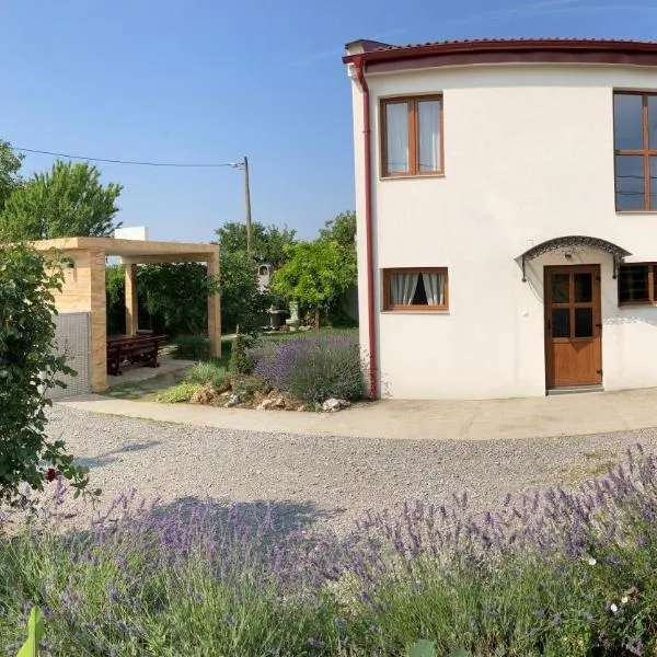 Fruška Gora Guesthouse、Irigのホテル