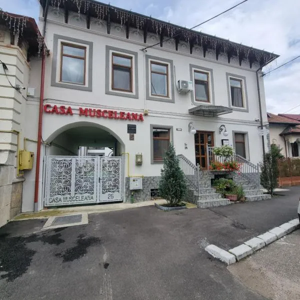 Casa Musceleana, hotel in Coteşti