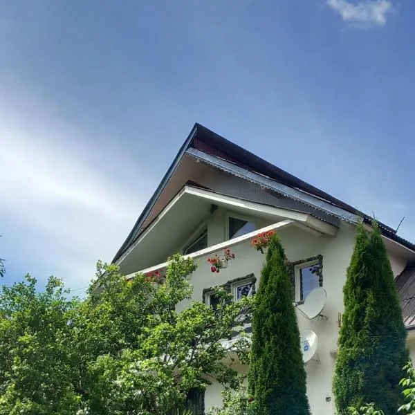 PERLA CĂLIMANILOR, hotel em Vatra Dornei