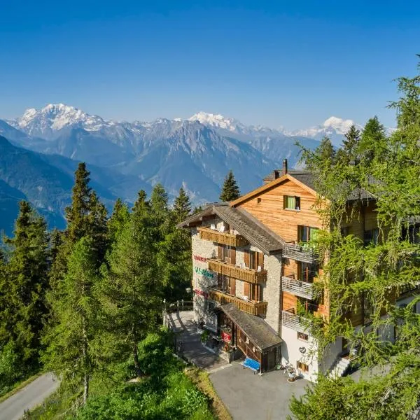 Hotel Waldhaus, hotel v destinaci Bettmeralp