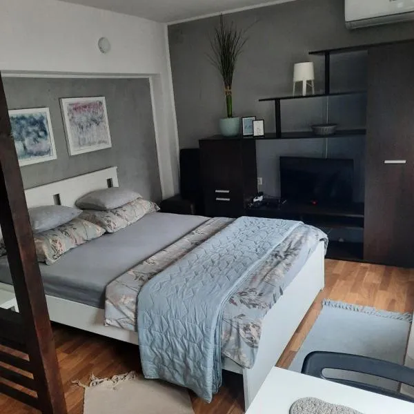 Studio Vrnjci 961, hotel in Vrnjačka Banja
