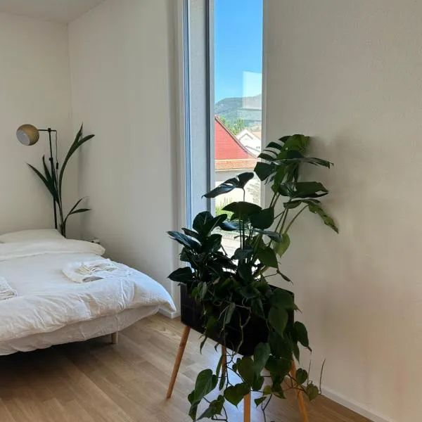 The R Apartment Passwang, KLIMA, NEU, Balkon, Parking, hotel em Balsthal