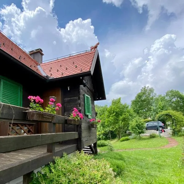 Apartments Montana, hotel in Fužine
