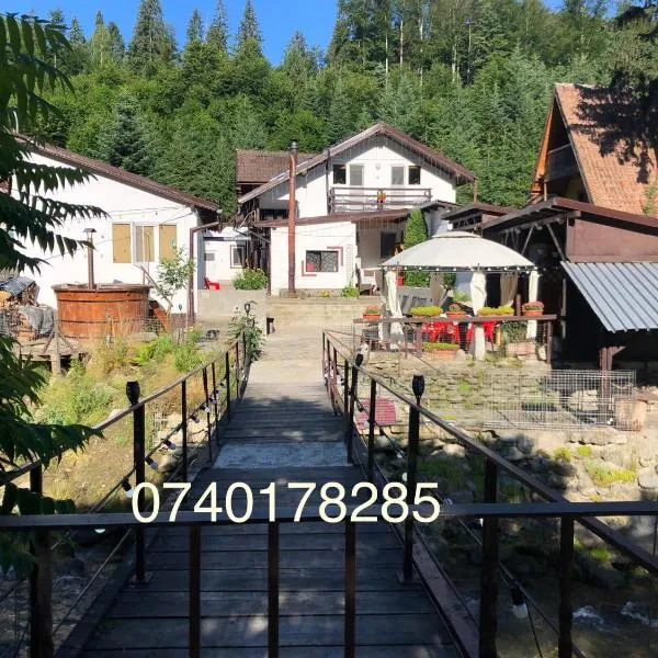 Podul De Brazi - Fir Bridge, hotel in Cârțișoara