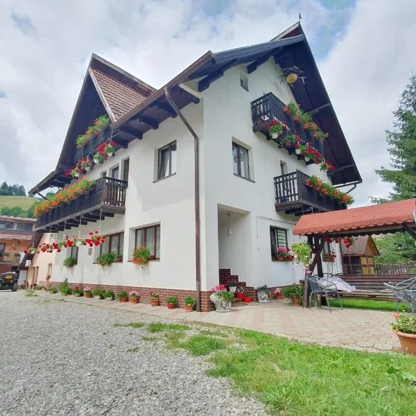 Casa Flavius, hotel v destinaci Bran