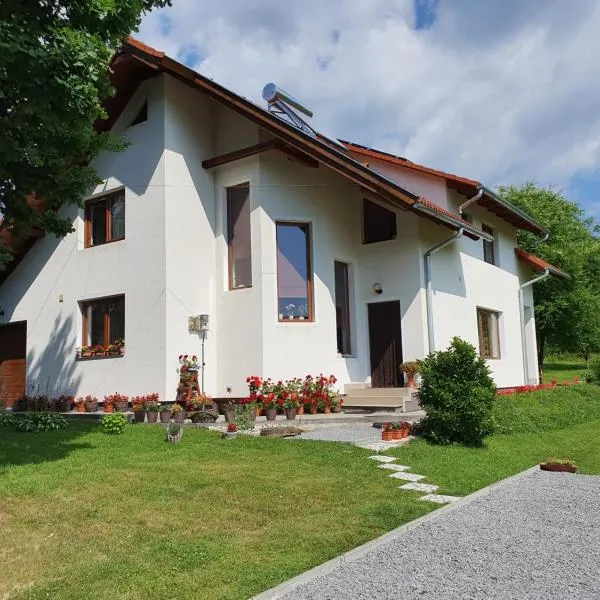 Casa Toth, hotel en Sovata