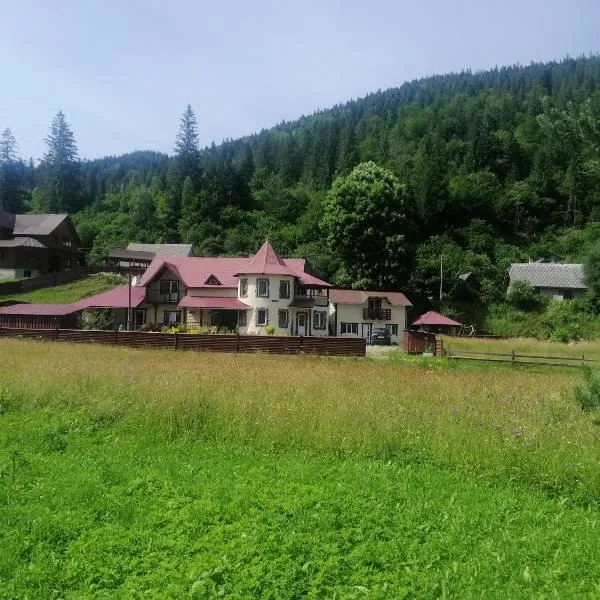 Гостинний двір у Ангеліни, hotel v destinaci Tatariv