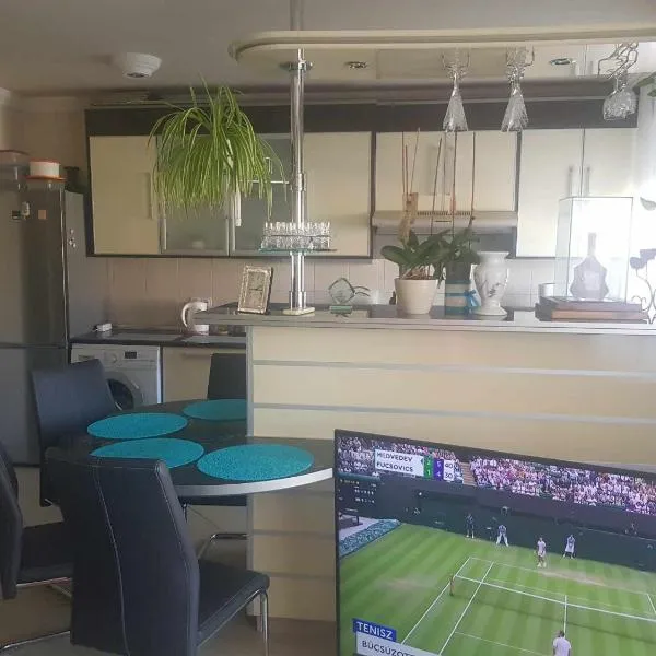Elaktra Apartman, hotel v destinácii Szolnok