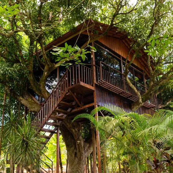 Hotel Heliconias Nature Inn & Hot Springs, hotel v destinaci Fortuna