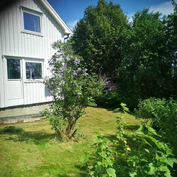 Utleiebolig Fannrem, hotel v destinaci Fannrem